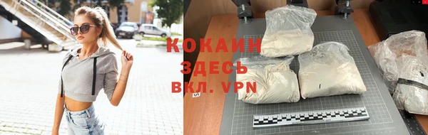 спайс Гусь-Хрустальный