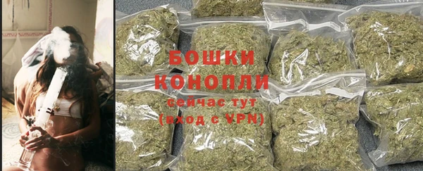 спайс Гусь-Хрустальный