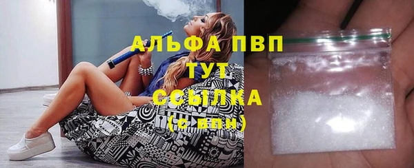 спайс Гусь-Хрустальный
