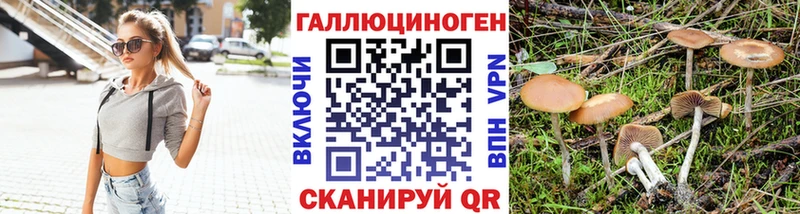 Галлюциногенные грибы Psilocybine cubensis Купить Ханты-Мансийск